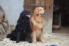 Nog een paar weekjes geduld ...